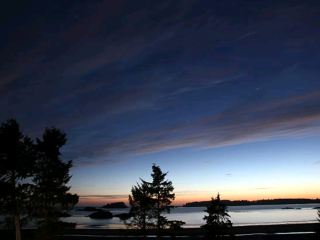 Tofino: A Town of Surfing and Whales