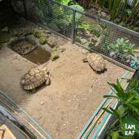 คาเฟ่ฟีลเขาใหญ่ที่อยู่ใกล้ MRT ไทรม้าจังหวัดนนท์