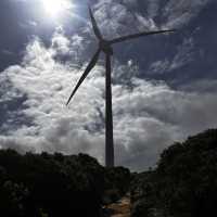 Western Australia-Wind Farm