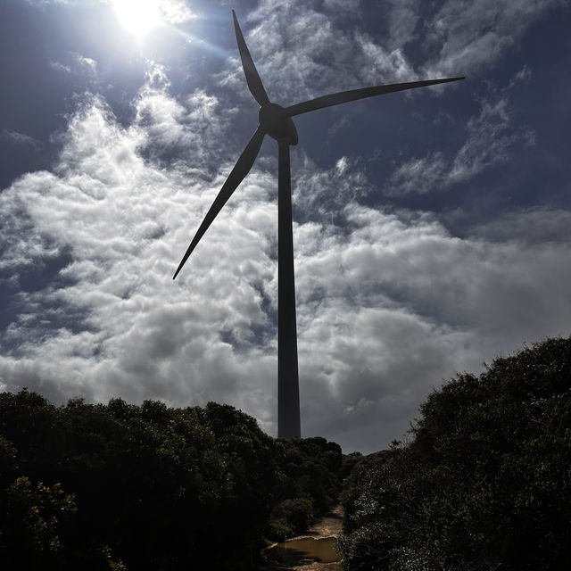 Western Australia-Wind Farm