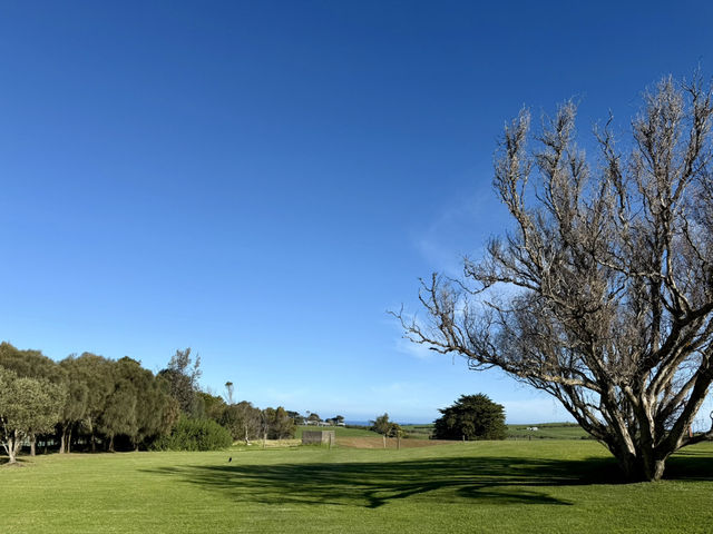 A Relaxing Winery Escape near Phillip Island 🍷✨