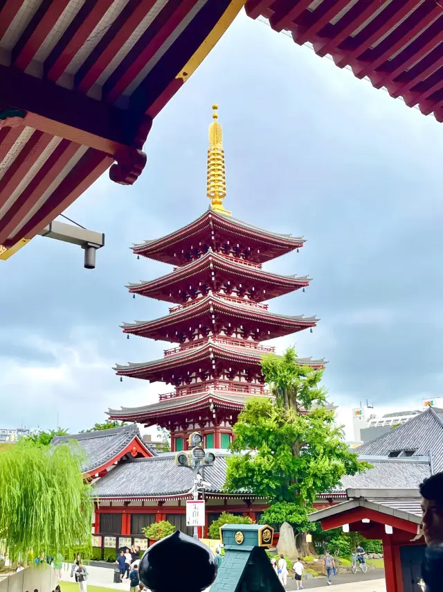 東京:淺草寺雷門、晴空塔、表參道、明治神宮、池袋太陽城