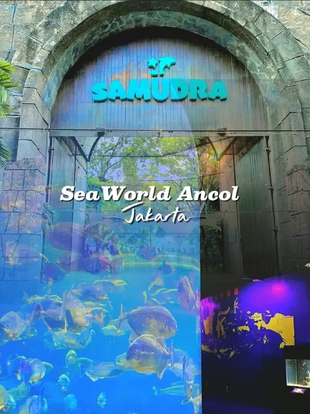 Underwater Wonders at SeaWorld Ancol