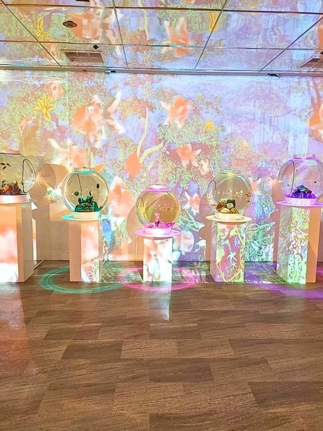 【奈良】ぬい旅・推し活に！奈良金魚ミュージアム