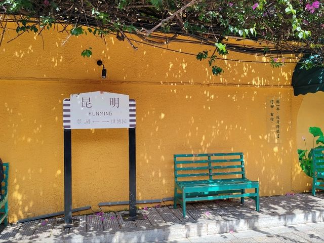 Huanggong East Street: A Literary Utopia in Kunming's Bustling City Center