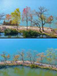 【中山公園｜南京綠意與歷史寫給城市的長信】