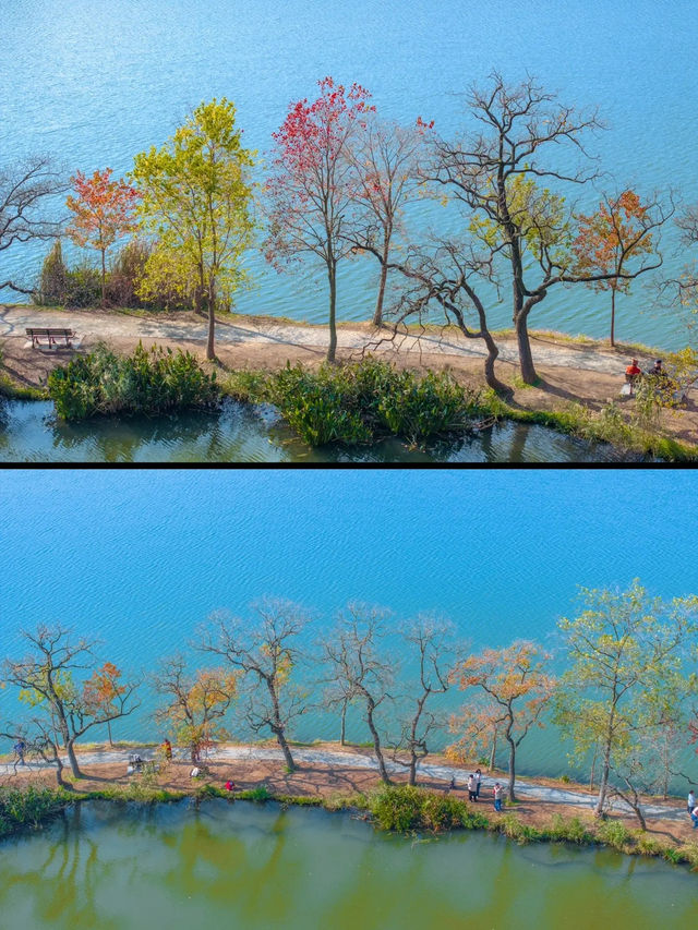 【中山公園｜南京綠意與歷史寫給城市的長信】