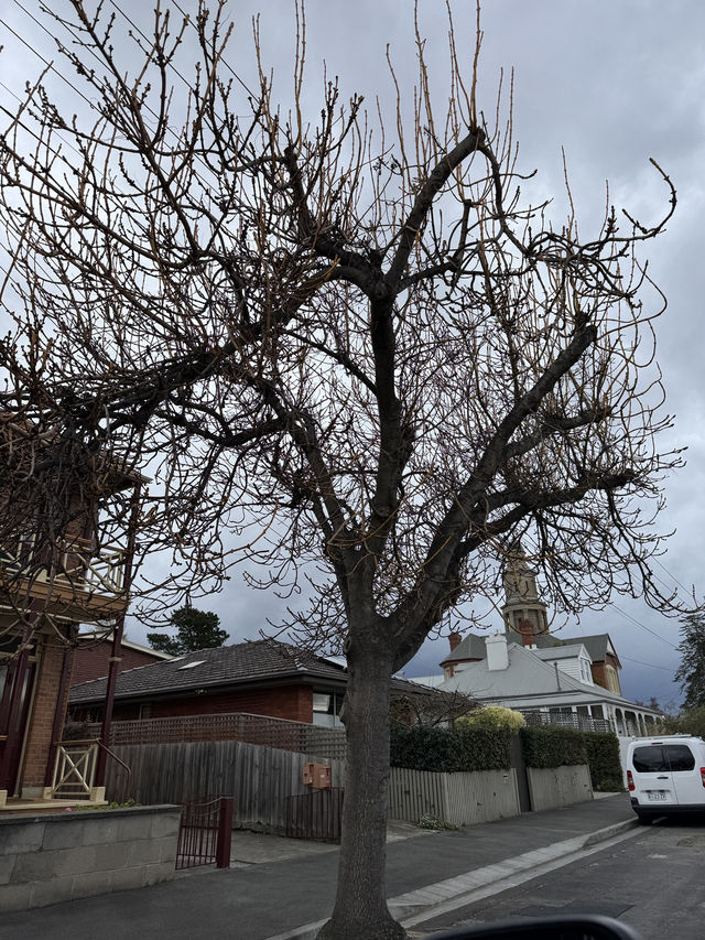 🍞🇦🇺 Battery Point(炮台點) 是霍巴特(Hobart)最歷史悠久、最迷人的街區之一。 🍞🇦🇺 Battery Point(炮台點) 是霍巴特(Hobart)最歷史悠久、最迷人的街區之一。