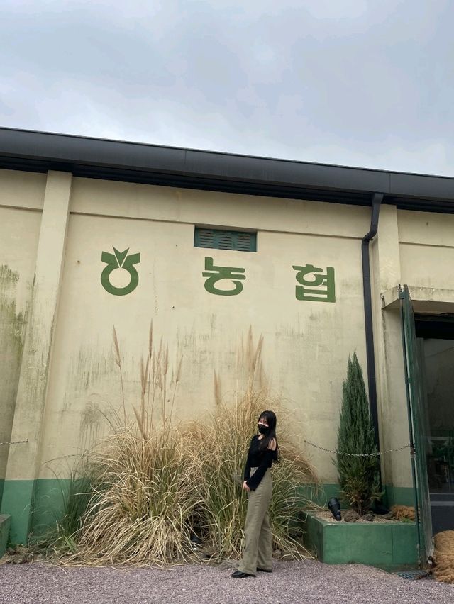 โ ๊ฑฐ์  ์งน์งน์ปคํผ (Jjaek Jjaek Coffee) โ ๊ฑฐ์  ์งน์งน์ปคํผ (Jjaek Jjaek Coffee)