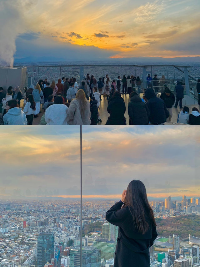 도쿄에서 보낸 완벽한 하루 루트 🌇🍽️ 도쿄에서 보낸 완벽한 하루 루트 🌇🍽️