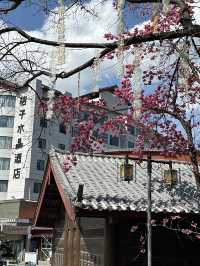 HIDDEN GEMS OF LIJIANG OLD TOWN 🩷