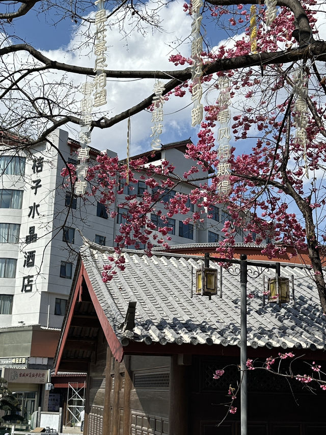 HIDDEN GEMS OF LIJIANG OLD TOWN 🩷