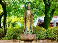 Gokokuji Temple – A Monument to Peace and Resilience