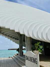 Serene Paradise, dream stay 
