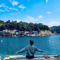 伊根舟屋｜日本海上的秘境小鎮與餵海鷗的浪漫郵輪