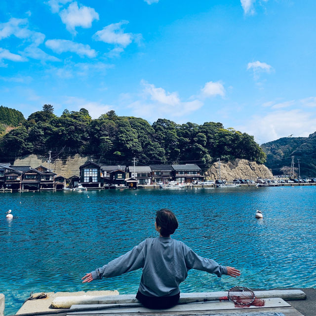 伊根舟屋｜日本海上的秘境小鎮與餵海鷗的浪漫郵輪