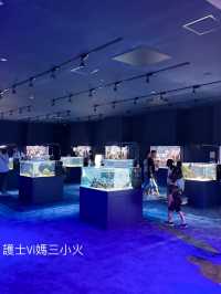 《沖繩親子景點| DMM水族館》