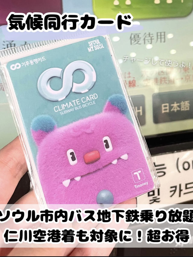 【完全保存版】韓国🇰🇷出会ったら買うべき8選🌟