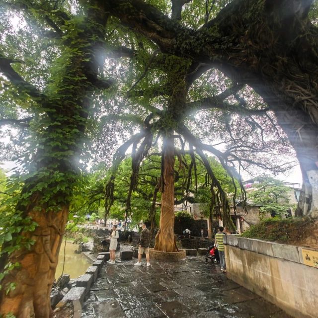昭平黃姚古鎮穿越時光🕰️水墨山城慢遊攻略