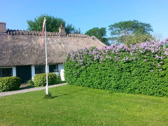 Cycling Through Denmark Freedom on Two Wheels