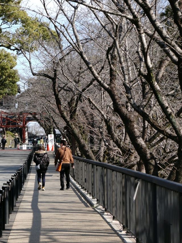 🏯: Kumamoto Castle เที่ยวฟุกุโอกะ ญี่ปุ่น