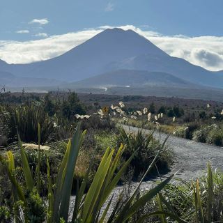 通往湯加里羅壯麗山峰的門戶