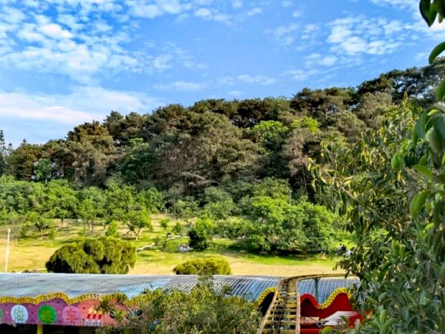 石門公園雕塑打卡靚位推薦📸