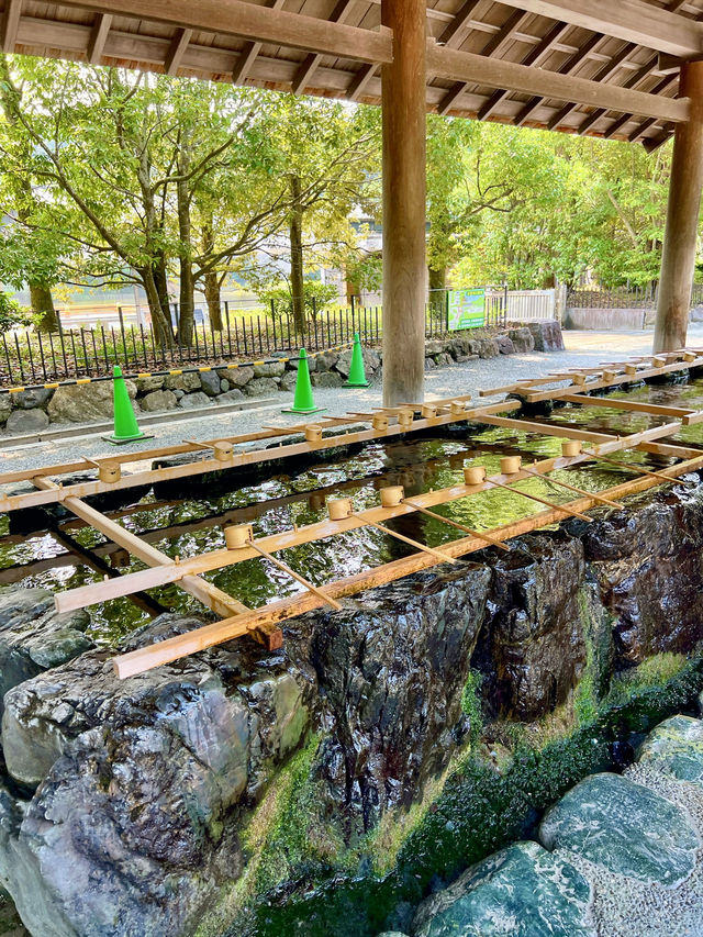 【三重】ずっと訪れたかった伊勢神宮外宮⛩️ 【三重】ずっと訪れたかった伊勢神宮外宮⛩️