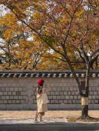 10월 경북 경주 여행 일정