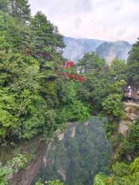 Mystical Peaks & Cloud Kingdoms: The Magic of Zhangjiajie
