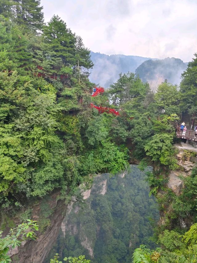Mystical Peaks & Cloud Kingdoms: The Magic of Zhangjiajie