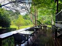 Into the forest Krabi