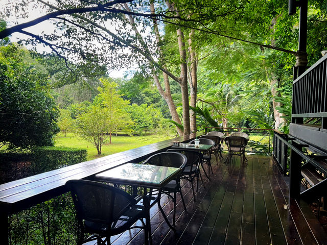 Into the forest Krabi
