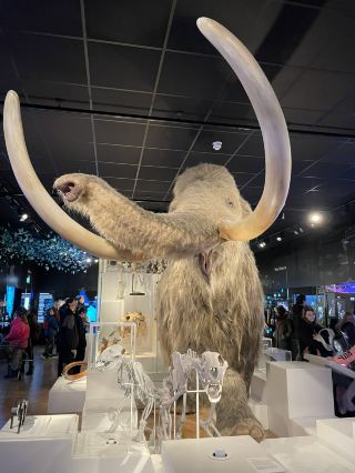 The Box — A Modern Museum in Plymouth!