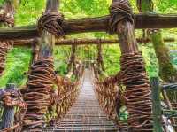 the island of Shikoku, Tokushima Prefecture 