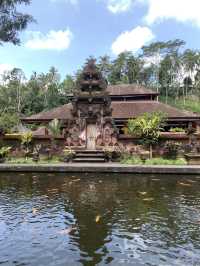 Ideal plan for Ubud 