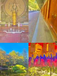 🍂 가을엔 불국사 산책 어때요? 🏯
