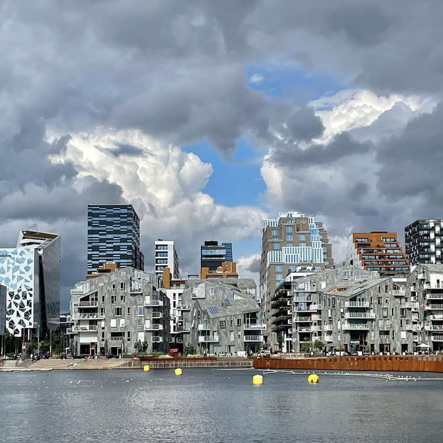 Sleek Design and Nordic Elegance in Oslo