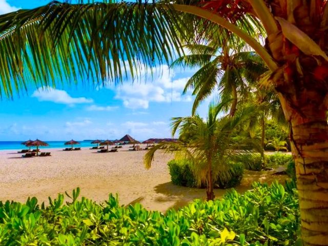Constance Moofushi — The Art of All-Inclusive Perfection
