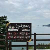 【🇰🇷：影島】山の上から見られる絶景🌊
