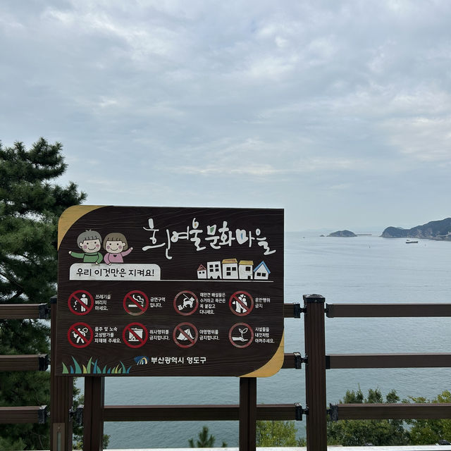 【🇰🇷：影島】山の上から見られる絶景🌊