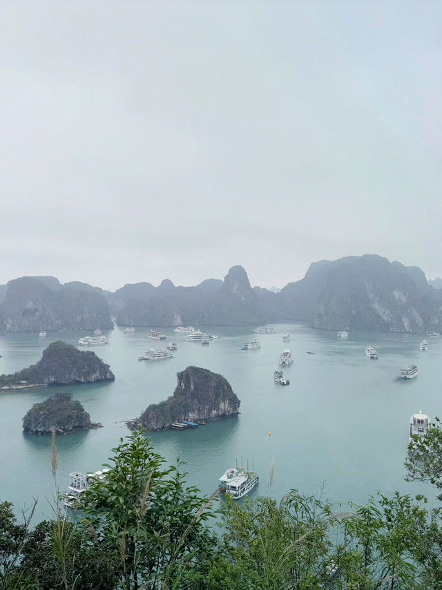 My first cruise at Halong Bay! 🛳️