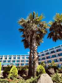 Direct Access to a Natural Paradise
