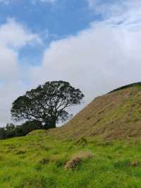 Auckland's Icon: Maungakiekie / One Tree Hill