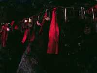 Tianmen Mountain: What Makes Tourists' Hearts Stop Right on the World's Longest Cable Car?
