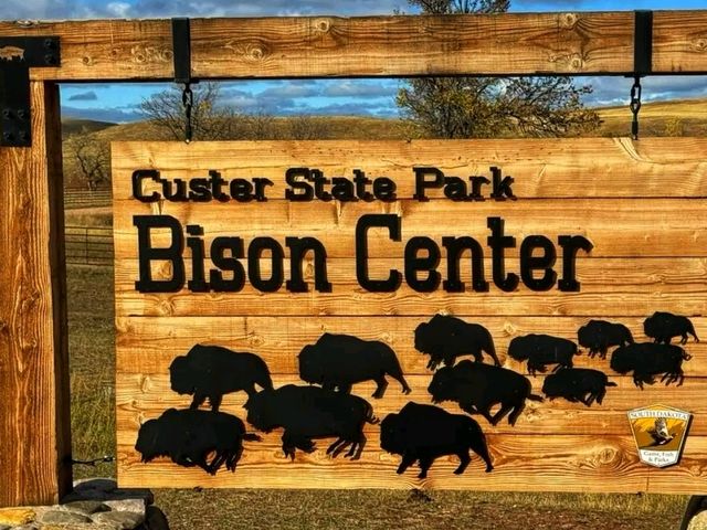 🏞️ Custer State Park – The Wild Heart of South Dakota 🏞️ Custer State Park – The Wild Heart of South Dakota