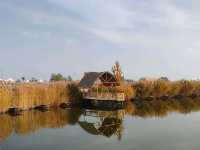 A Hidden Waterside Haven Amid Golden Reeds