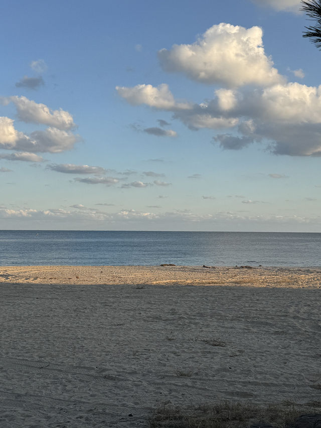 ๐ ํ๊ฐ์์ ๊ณ ์ฆ๋ํ ๋ฐ๋ค ๋ง์ โ ๊ฒฝ์ฃผ ์๋จ๋ฉด ์ถ์์ฌํ ๊ฐ์ด๋ ๐ ํ๊ฐ์์ ๊ณ ์ฆ๋ํ ๋ฐ๋ค ๋ง์ โ ๊ฒฝ์ฃผ ์๋จ๋ฉด ์ถ์์ฌํ ๊ฐ์ด๋