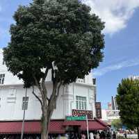 สิงคโปร์ไปคนเดียวก็ไปได้ !