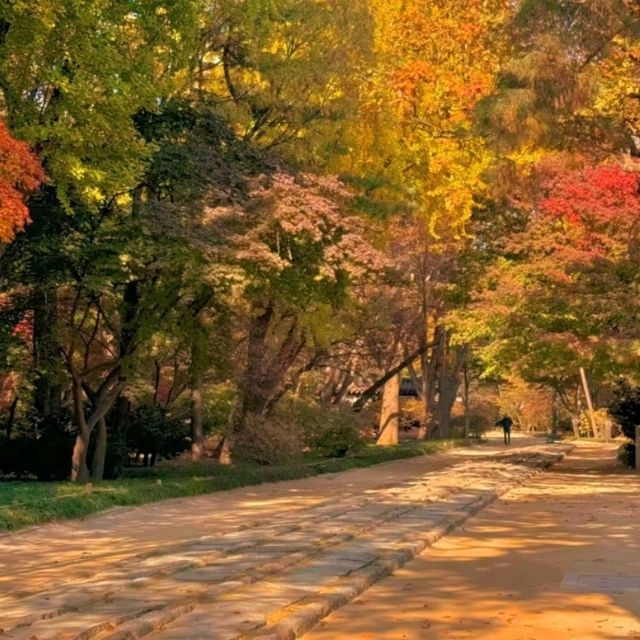 🏛️ Jongmyo Shrine – Seoul’s Timeless Confucian Heritage